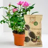 Compost di vermi Dr.Soil 1l Anteprima dell’immagine prodotto 3