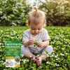 EcoDeco - Semences de trèfle nain pour gazon - Mélange de Voir les images du produit 21