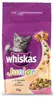 Whiskas Trocken Junior Kip & Melk 2 Kg Produktbild-Vorschau 1