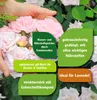 Rosenerde und Gehölzerde FloraSelf 50 L Produktbild-Vorschau 3