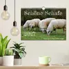 Schöne Schafe (Wandkalender 2027 DIN A4 quer), CALVENDO Produktbild-Vorschau 3