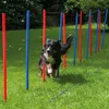 Pali da slalom per agility Set di pali da slalom per cani Anteprima dell’immagine prodotto 2