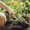 Fiskars Xact, Zahradnická lopatka, Nerezová ocel, Černá, Náhled obrázku produktu 15