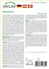 SAFLAX  - Albero di fuoco - 6 semi - Delonix Anteprima dell’immagine prodotto 11