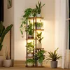 Plantenstandaard met LED-plantlamp, 6 niveaus, Productafbeelding-voorbeeld 1