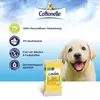 Cottonelle Feuchtes Toilettenpapier Natürlich Pflegend 20 x Produktbild-Vorschau 6