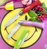 A collection of colorful Opinel knives arranged on a smiley face plate, with some red currants and mint leaves. Náhled obrázku produktu