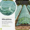 Garronda Gewächshausfolie 6x6 m (Länge x Breite)  Produktbild-Vorschau 4