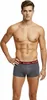 A man wearing boxer shorts. Produktbild-Vorschau