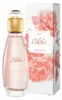 Woda Toaletowa Avon Woman Celebre 50 Ml Podgląd zdjęcia produktu 7