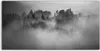 Coloray Acrylbild 100x50  Wandbild Acrylbilder Deko Kunst Produktbild-Vorschau 1