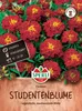 SPERLI Studentenblumensamen Carmen Tagetes patula 45 Produktbild-Vorschau 1