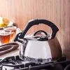 Rychlovarná konvice STAINLESS STEEL 2,7L Flétnová konvice Náhled obrázku produktu 2