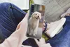 MuchoWow® Handyhülle Schutzhülle Hülle für Samsung Galaxy Produktbild-Vorschau 3
