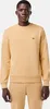 Lacoste Sh9608 Sweatshirt Beige 5 Mann Beige 5 Produktbild-Vorschau 5