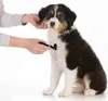 Unterfellbürste für Hunde, Katzen, verfilztes, kurzes und Produktbild-Vorschau 2