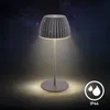 Briloner CHAMP Mini lampe de table LED sans fil Voir les images du produit 14