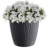 Blumentopf 29cm grau Prosperplast 28,2 cm x 28,2 x 26 cm Produktbild-Vorschau 5