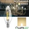 A collage showing a chandelier, a close-up of an LED filament bulb, and a color temperature sample. Produktbild-Vorschau