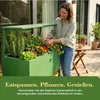Hochbeet mit Bewässerungssystem für Balkon und Garten Produktbild-Vorschau 4