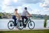 FISCHER E-Bike Trekkking VIATOR 2.1 Active, altezza telaio Anteprima dell’immagine prodotto 22