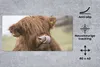 MuchoWow® Schreibtischunterlage Schottischer Highlander - Produktbild-Vorschau 2