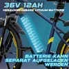 26 Zoll E Bike Herren/Damen, Elektrofahrrad, E-Mountainbike Produktbild-Vorschau 5