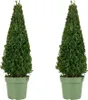 2x Ilex Jenny Pyramid P21 H80 Produktbild-Vorschau 1