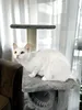 A white cat sits on a gray cat tree in front of a window with sheer curtains. Náhled obrázku produktu