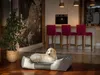 A golden retriever dog is resting on a dog bed in a modern living room with a kitchen in the background. Produktbild-Vorschau