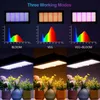 LED-Pflanzenlampe - 2000 W Grow Light - Vollspektrum - Produktbild-Vorschau 6