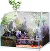 SunSun Aqua Paludarium 30 l - sada paludária SunSun Anteprima dell’immagine prodotto 3