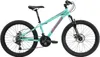 BIKESTAR Kinder Jugend Mountainbike 24 Zoll ab 8 Jahre | 21 Produktbild-Vorschau 2