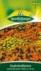 Studentenblume, Zwerg-Mischung Produktbild-Vorschau 5