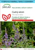 SAFLAX Dárková sada - cudný strom - Vitex agnus-castus - 30 Náhled obrázku produktu 1