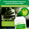 Purgrün Gummibaum-Dünger 1 Liter Produktbild-Vorschau 4