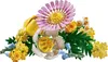 LEGO Botanicals Kleiner Sommerstrauß - Bauset mit Produktbild-Vorschau 4