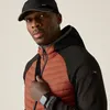 Veste softshell hybride Regatta Andreson pour homme, taille Voir les images du produit 5