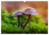 Kunstgalerie Wald - die verborgene Welt der Pilze Produktbild-Vorschau 3