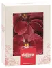 Květy z jedlého papíru orchidej růžová 10ks Náhled obrázku produktu 1