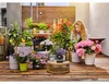 Gardena AquaBloom Set arrosage solaire Voir les images du produit 15