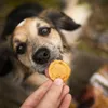 Akinu Hühnerchips für Hunde 75g Produktbild-Vorschau 4