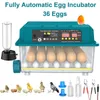 Automatyczny inkubator do jaj - 36 jaj - 4 tryby inkubacji Podgląd zdjęcia produktu 2