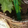24 palline per l'irrigazione, irrigazione dosata, 2 Anteprima dell’immagine prodotto 2