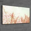 Coloray Canvas 120x60  Wandbild Leinwand Bilder Deko Blumen Produktbild-Vorschau 2