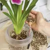Záhradný substrát ORCHIDPON 6L LECHUZA Náhľad obrázku produktu 11