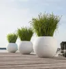 Kvetináč Lechuza Biely polypropylén Náhľad obrázku produktu 7