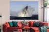 MuchoWow® Poster Wal - Wasser - Südafrika 180x120 cm - Produktbild-Vorschau 2