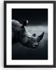Gerahmtes Poster - Schwarzer Rahmen - Nashorn Schwarzweiß Produktbild-Vorschau 1