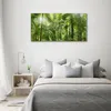 Tulup Glas-Bild -140x70- Wandkunst Dekorative Wand für Produktbild-Vorschau 3